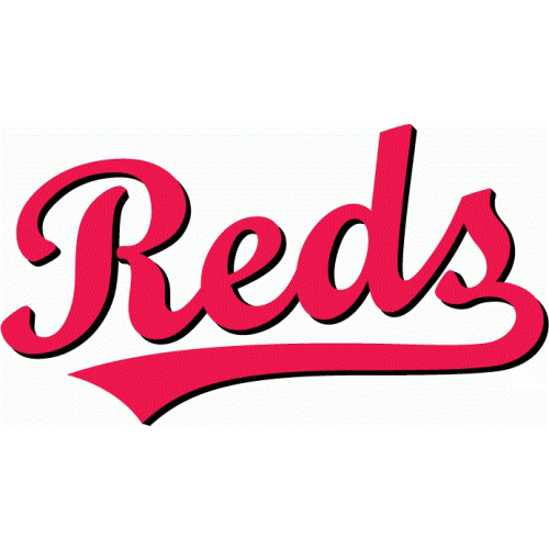 Cincinnati Reds Script Logo Iron On Sticker  Heat Transfer     2 00