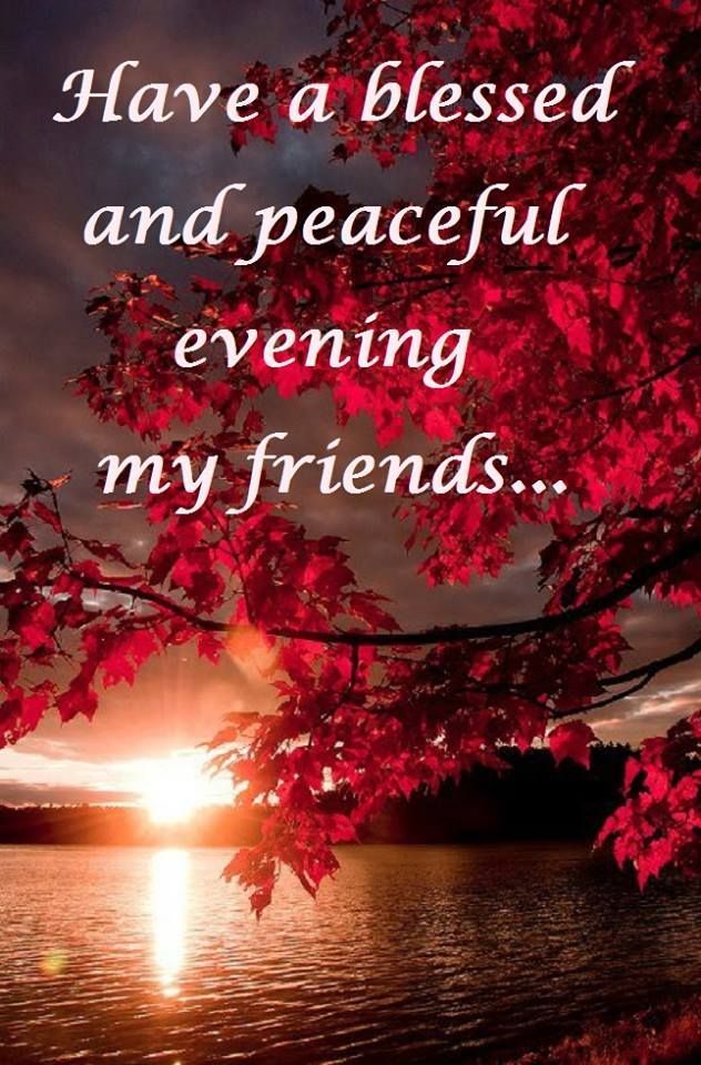 Have A Blessed And Peaceful Evening My Friend    It S Always A