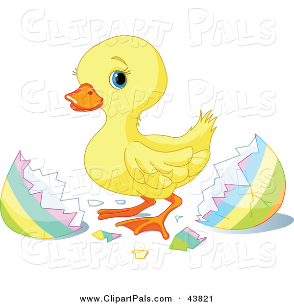 Pal Clipart Of A Cute Yellow Easter Duckling