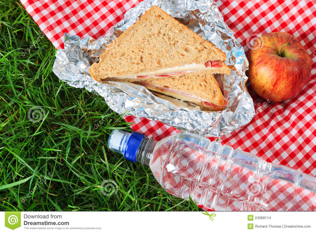 Picnic Lunch Stock Images   Image  24068114