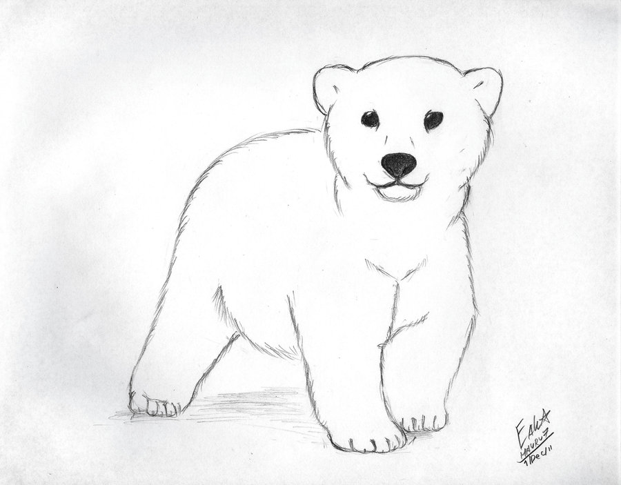 Polar Bear Cub By Hauru7 On Deviantart