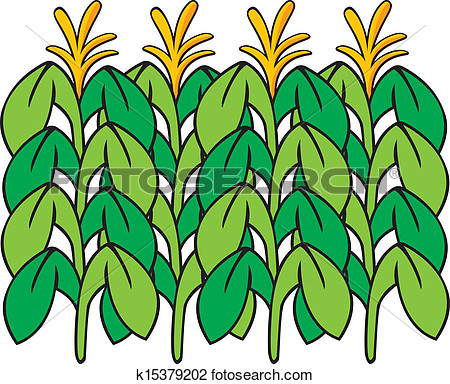 Clipart   Corn Stalk  Fotosearch   Search Clip Art Illustration