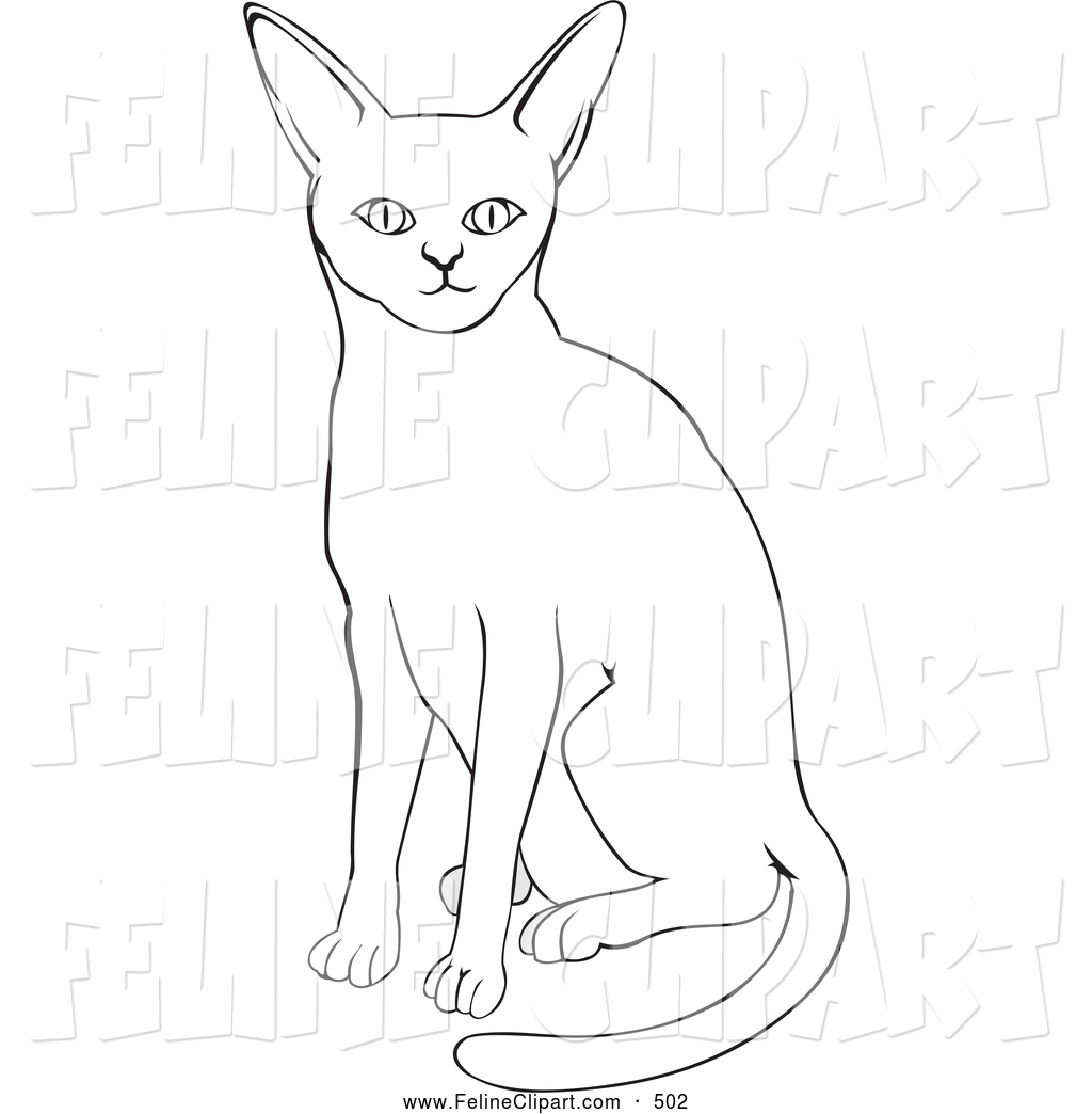 Coloring Page Cat Sitting Alone Coloring Page Cat Coloring Page Car