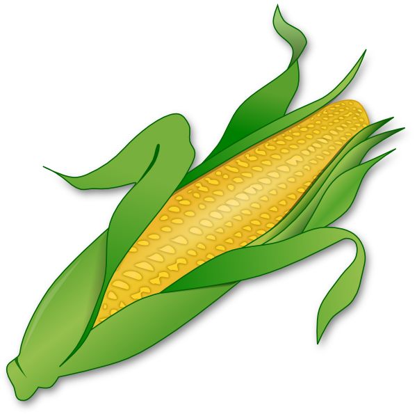 Corn Clip Art At Clker Com   Vector Clip Art Online Royalty Free    