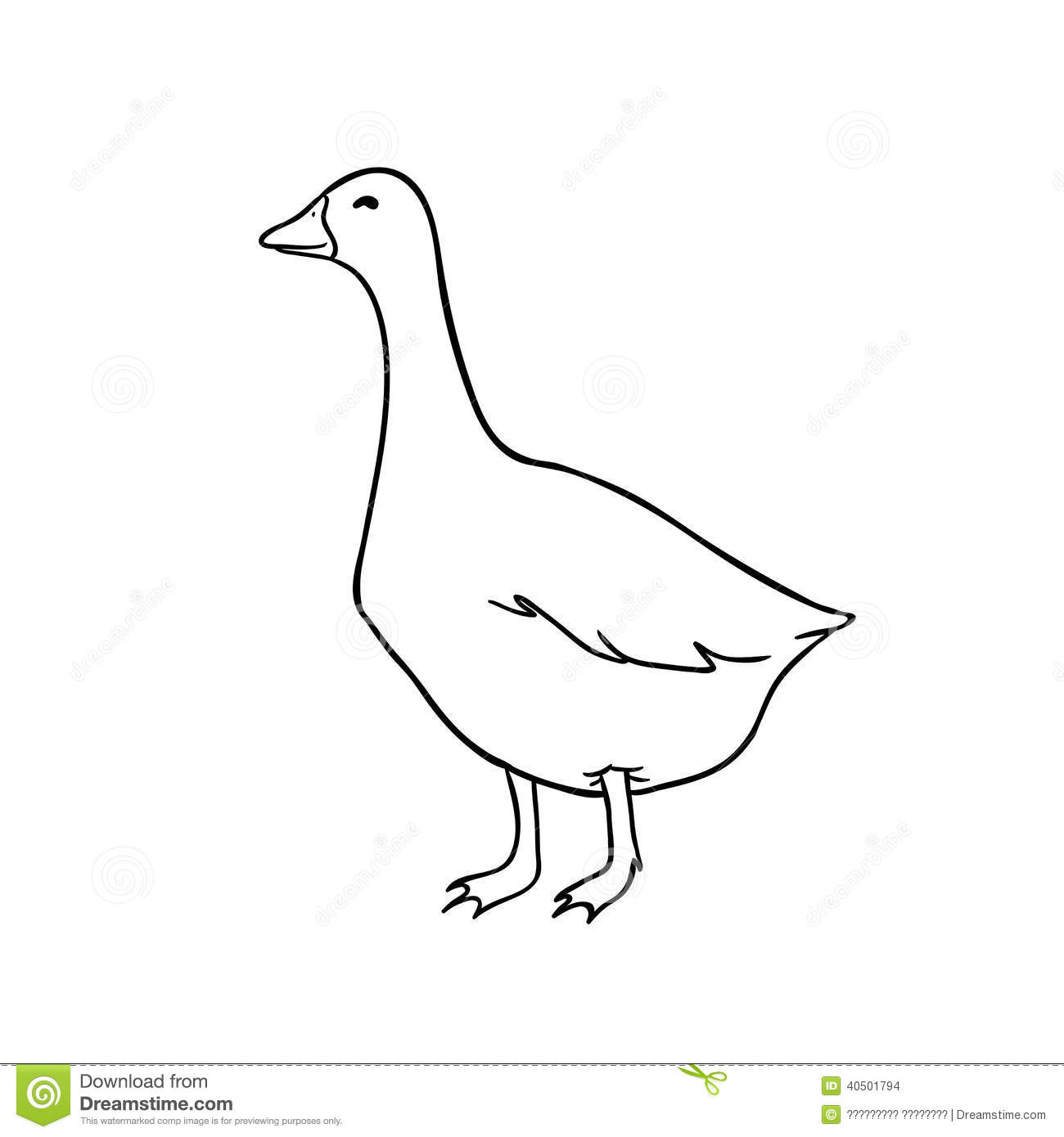 Cute Vector Goose Coloring Stock Vector   Image  40501794