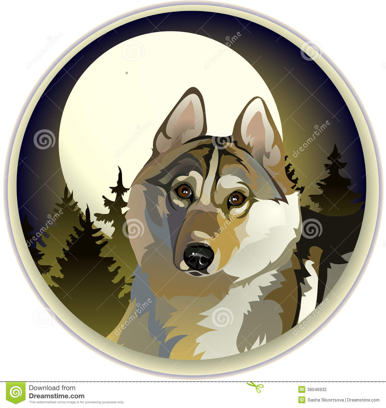 Sad Lone Wolf Stock Photography   Image  36046932