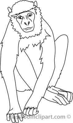 Animals   Monkey 03 Outline   Classroom Clipart