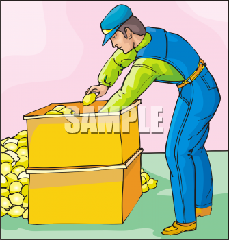 Clipart Picture Of A Man Packing Lemons