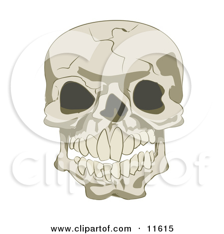 Cracked Human Skull Clipart Illustration By Geo Images  11615