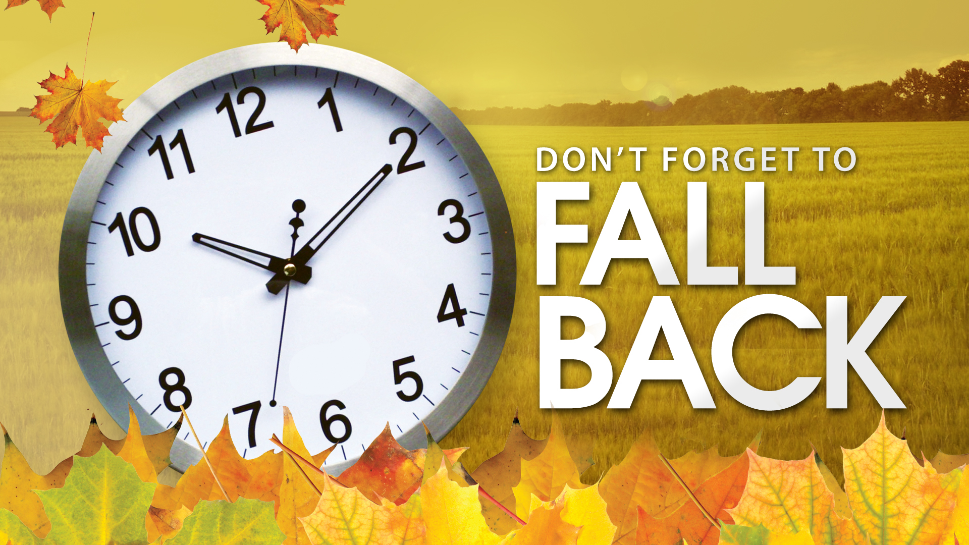 Daylight Savings Time Is Scheduled For This Sunday November 2nd    