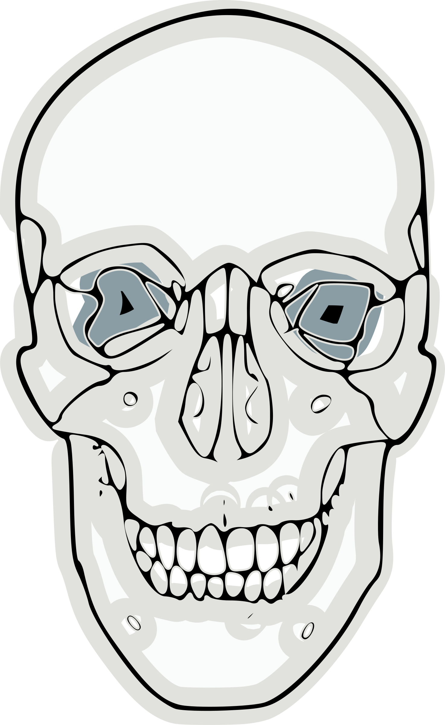 Digitalized Human Skull By Rg1024