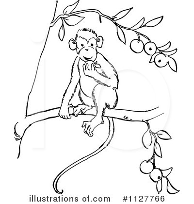 Monkey Clipart  1127766   Illustration By Picsburg