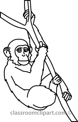 Outline Picture Of A Monkey Free Cliparts That You Can Download To    