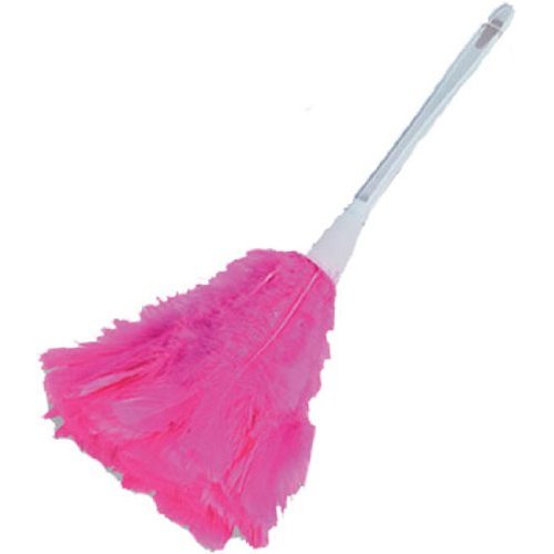Pink Feather Duster