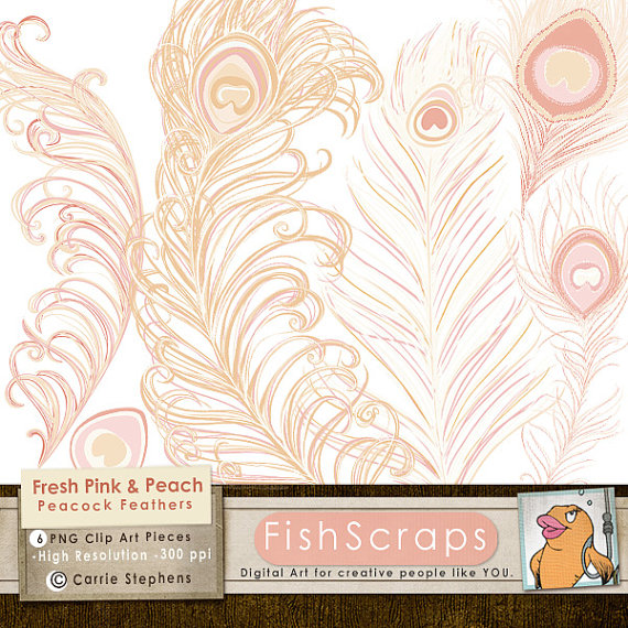 Pink Peacock Feather Clip Art   Romantic Pastel Pink   Peach Feathers