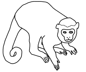 Simple Monkey Outline   Clipart Best