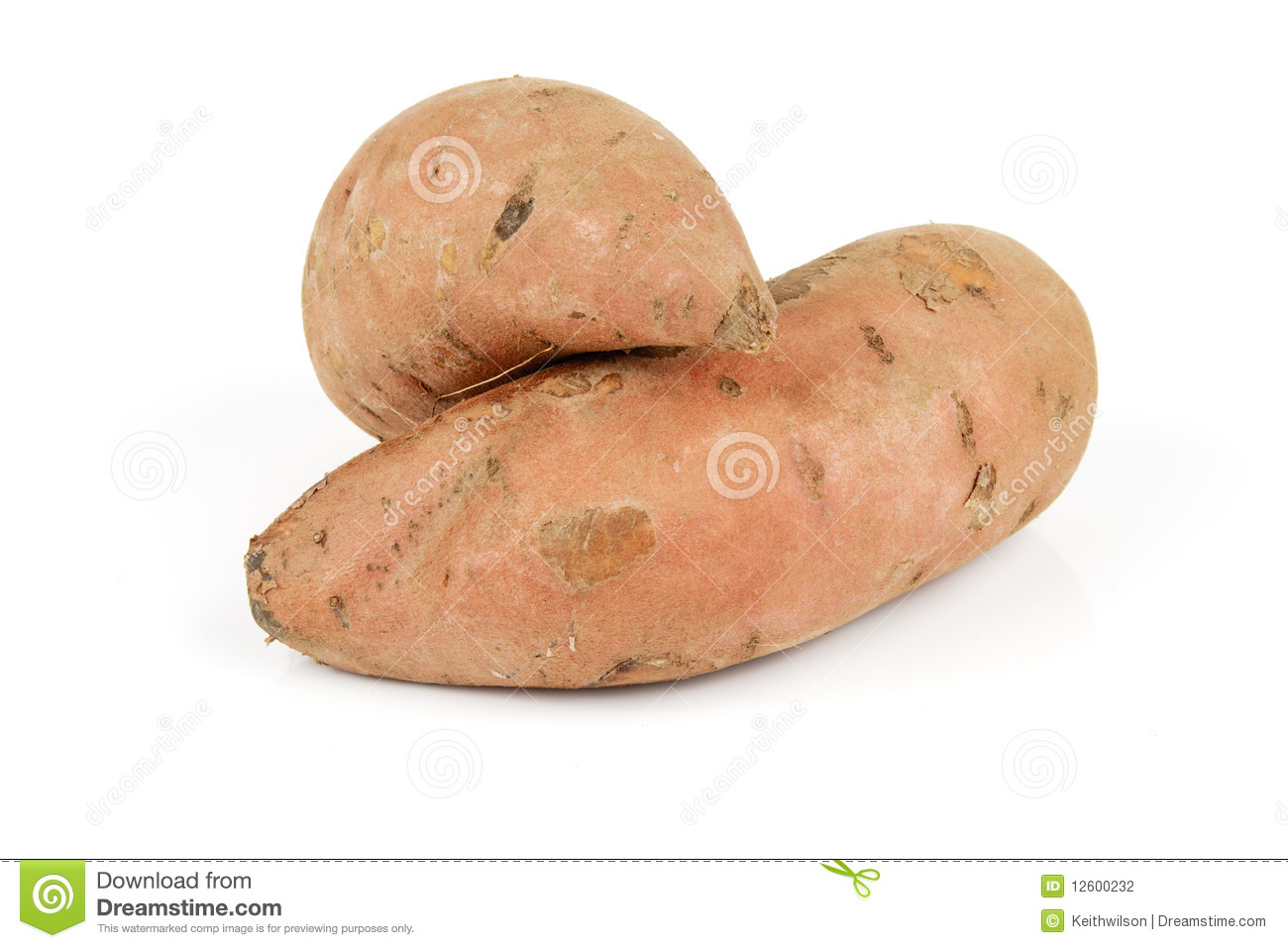 Sweet Potato Clip Art Sweet Potato Sweet Potato Clip Art Sweet Potato