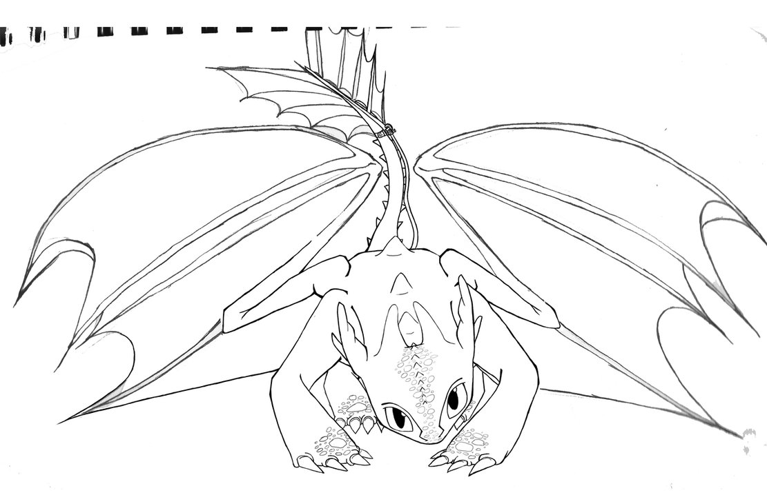 To Train Your Dragon Coloring Pages Toothless   Kids Coloring Pages