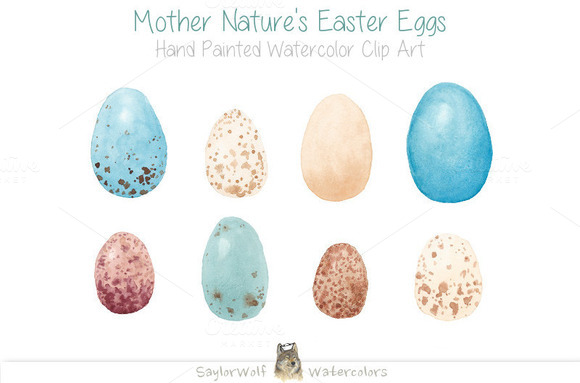Watercolor Bird Eggs Clip Art   Illustrations On Creative Market