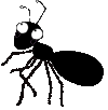 Ant Black And White Clipart Image Gallery