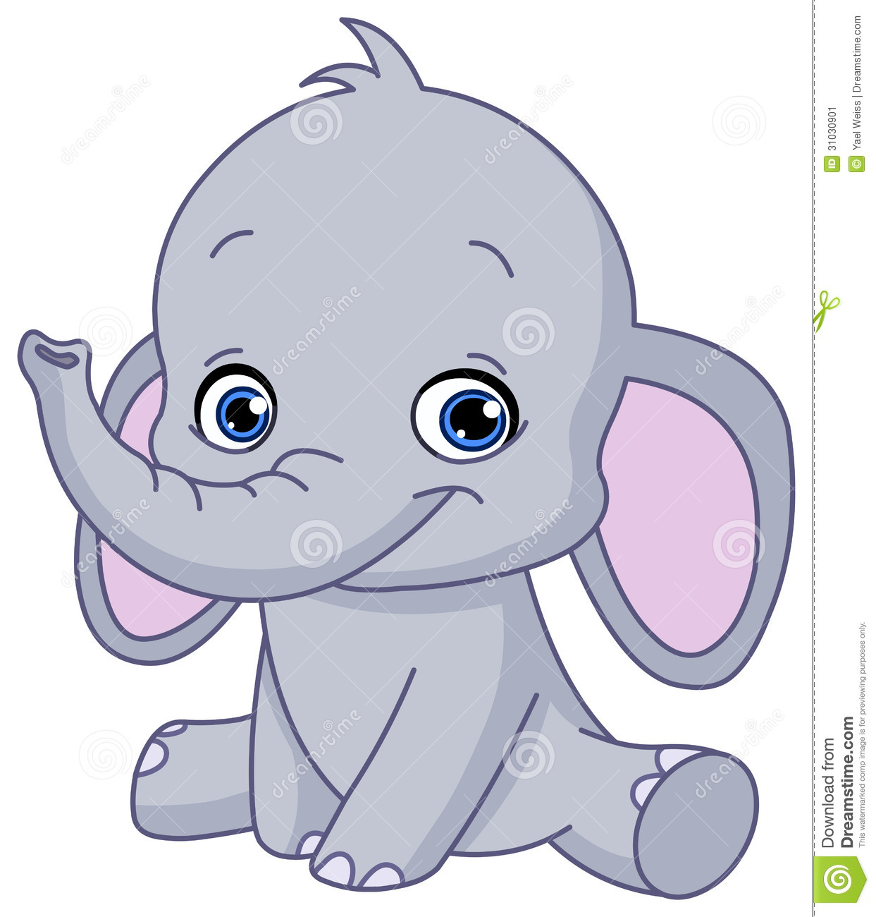 Baby Elephant Stock Image   Image  31030901