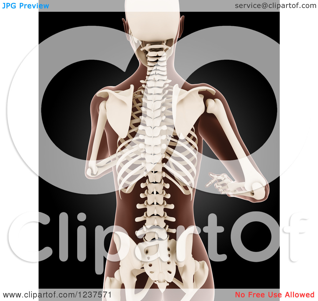 Clipart Of A 3d Running Medical Female Model With Visible Skeleton