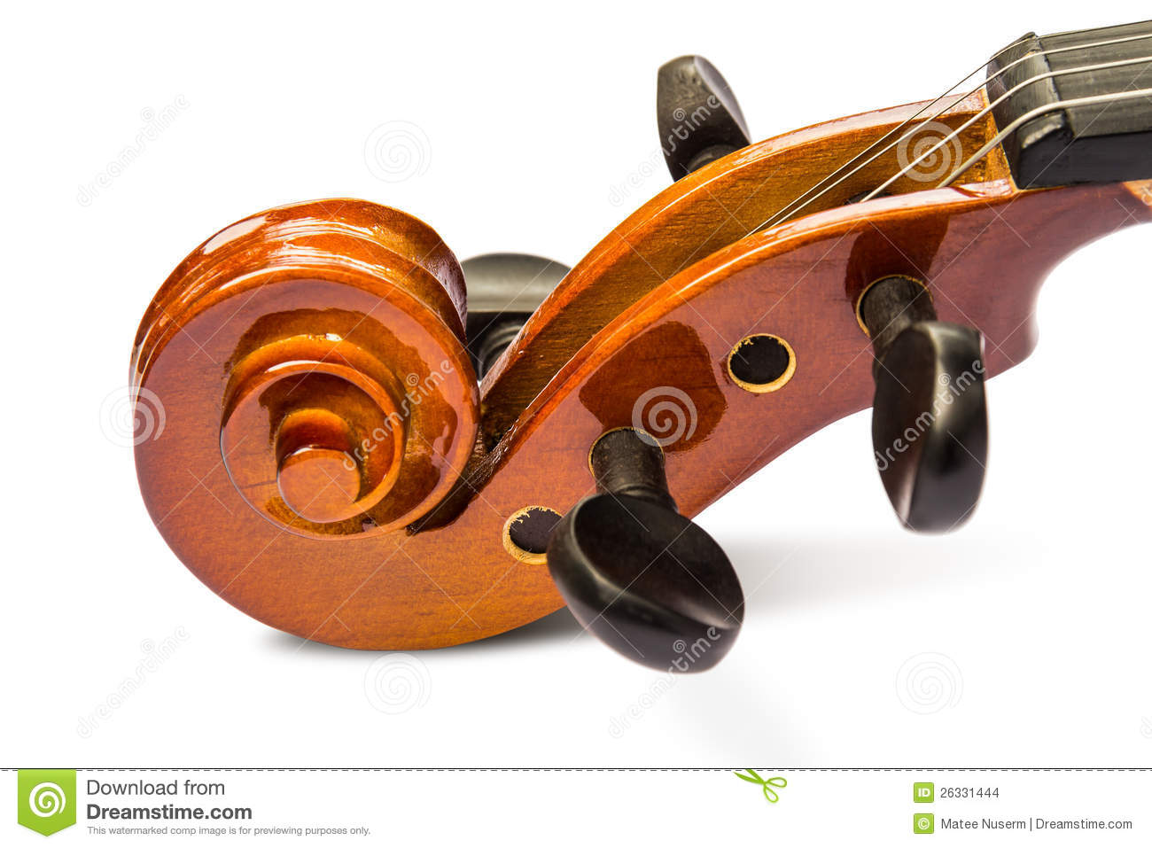 Close Up Of Scroll And Pegbox Of Violin On White Background With
