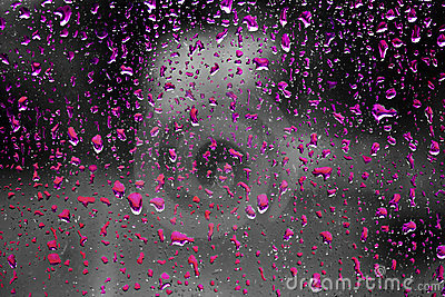 Colored Raindrops Stock Images   Image  12065274