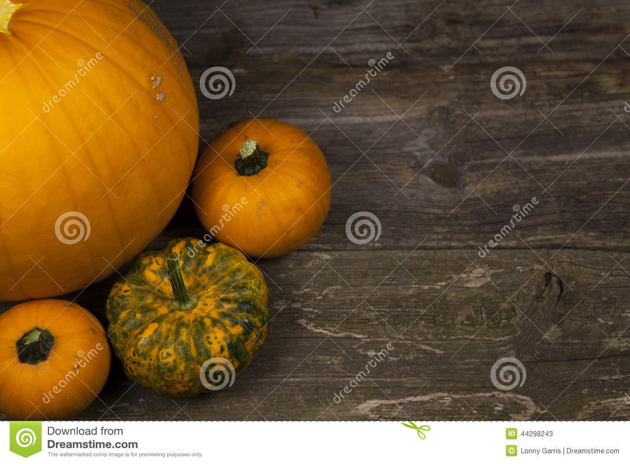 Fall Pumpkins Stock Photo   Image  44298243