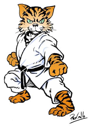 Karate Tiger   Karate Stuff   Pinterest