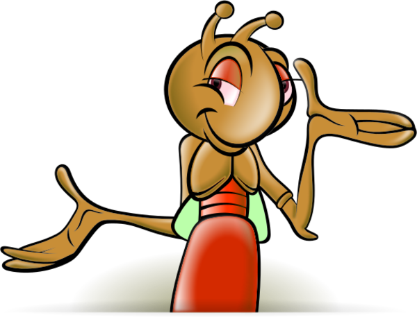 Related Pictures Cricket Insect Cartoon