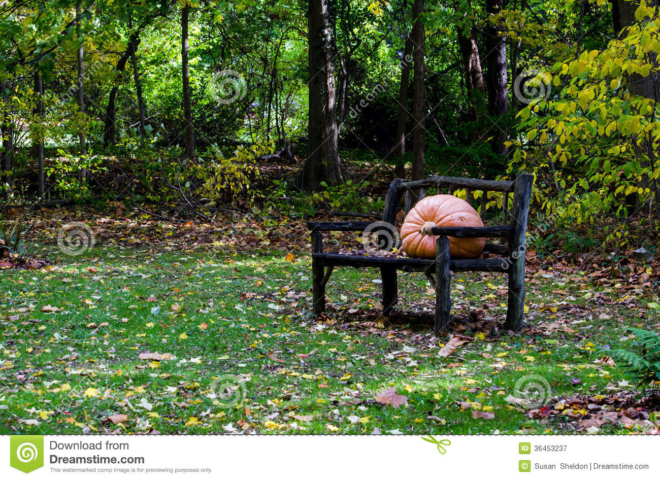 Rustic Bench Hosts A Very Large Pumpkin In A Restful Autumn Setting