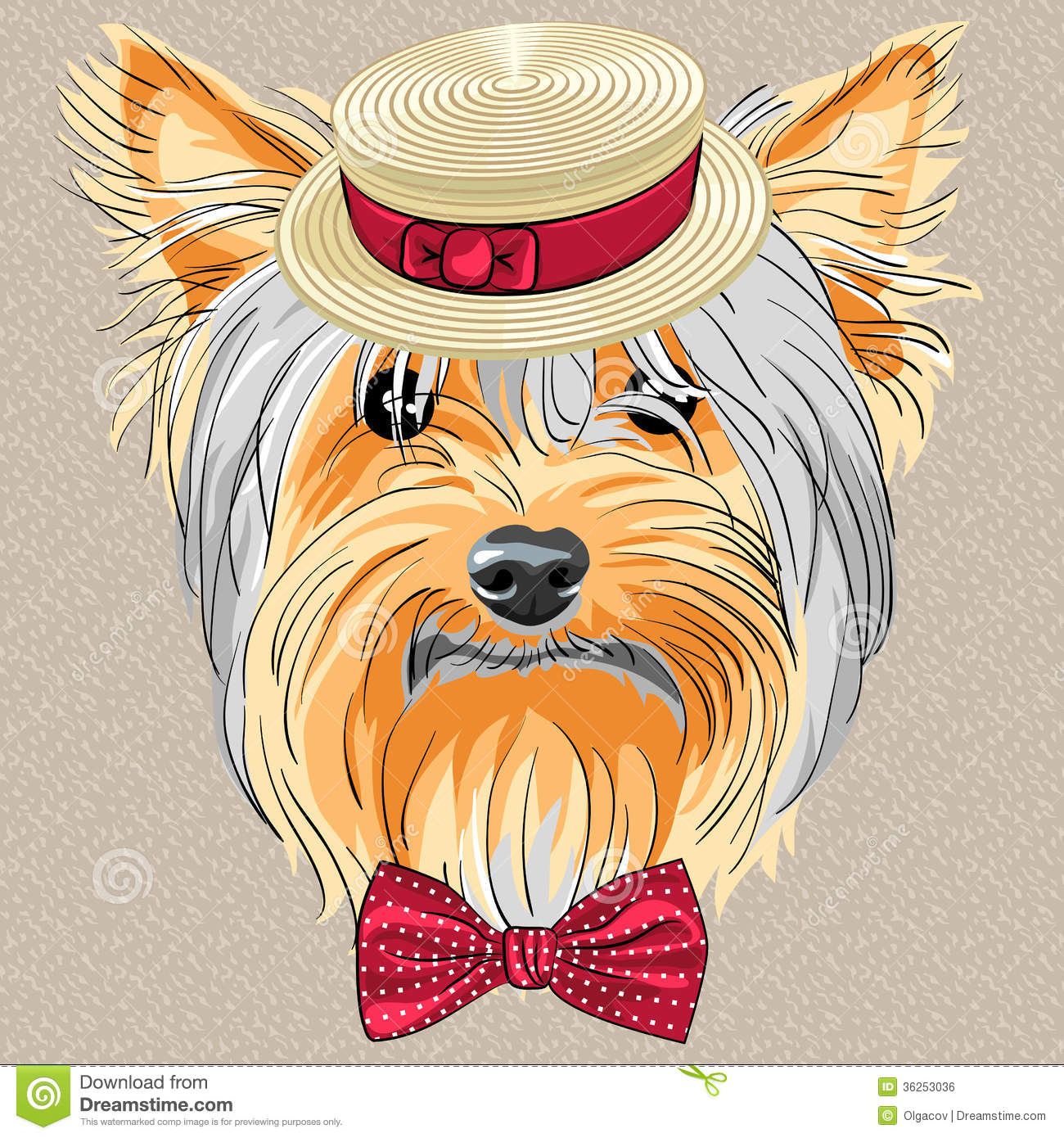 Vector Funny Cartoon Hipster Dog Yorkshire Terrier Royalty Free Stock