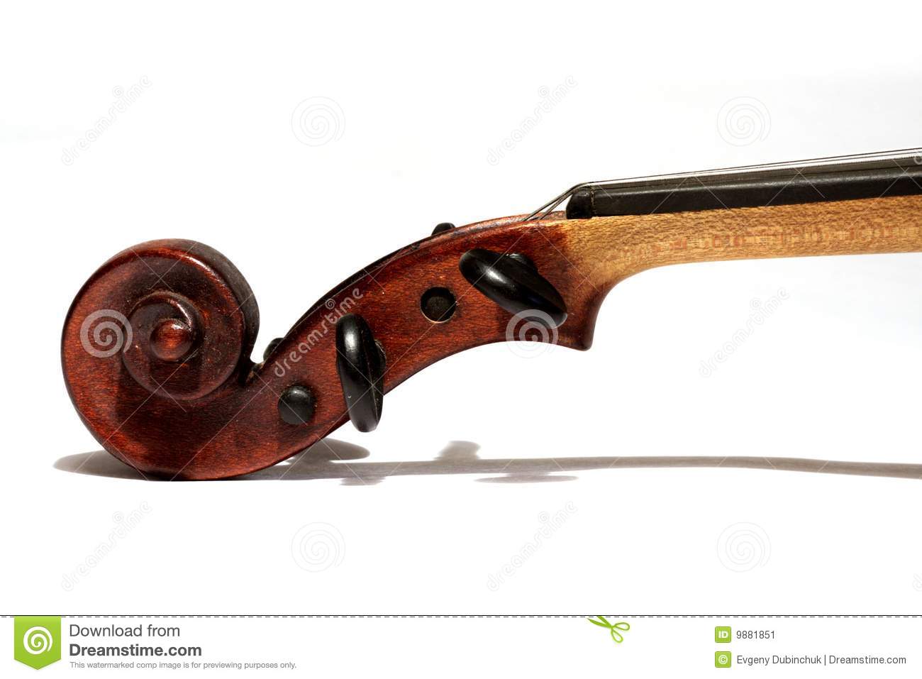 Violin Scroll Isolated On White Background