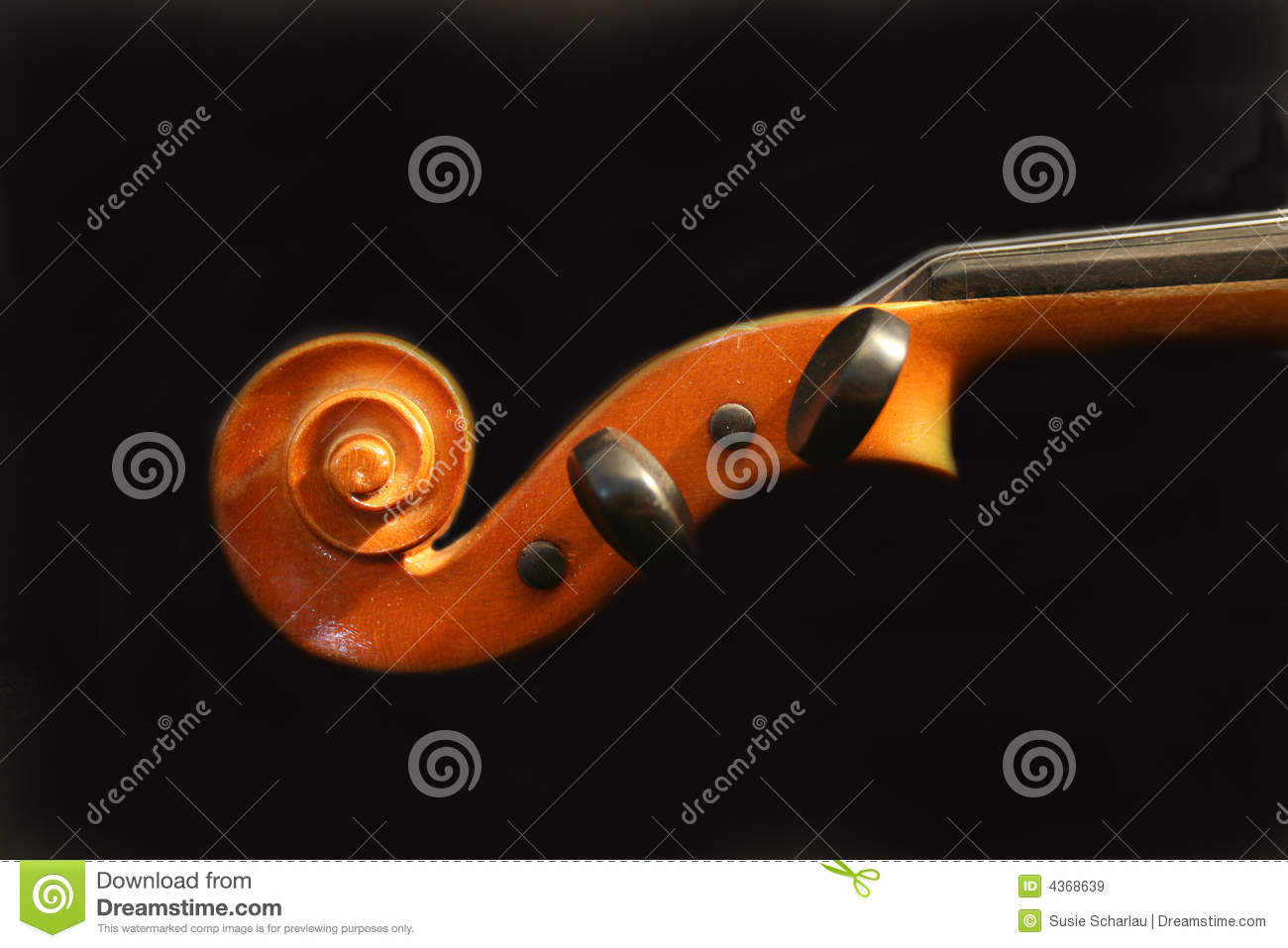Violin Scroll Royalty Free Stock Images   Image  4368639
