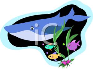 Whimiscal Blue Whale Swimming With Fish   Royalty Free Clipart Picture