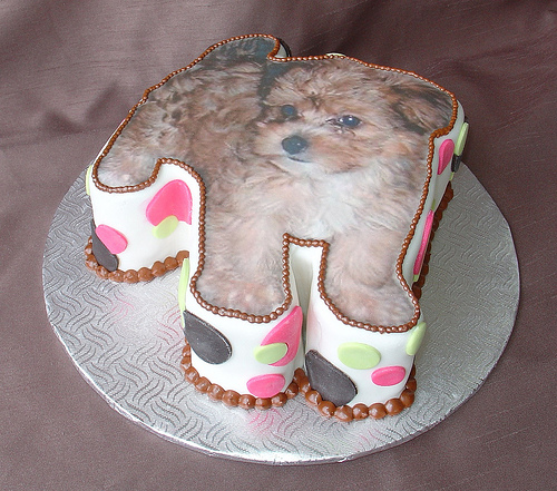 Yorkie Poo Birthday Cake   Flickr   Photo Sharing