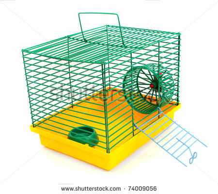 Animal Cage Stock Photos Illustrations And Vector Art