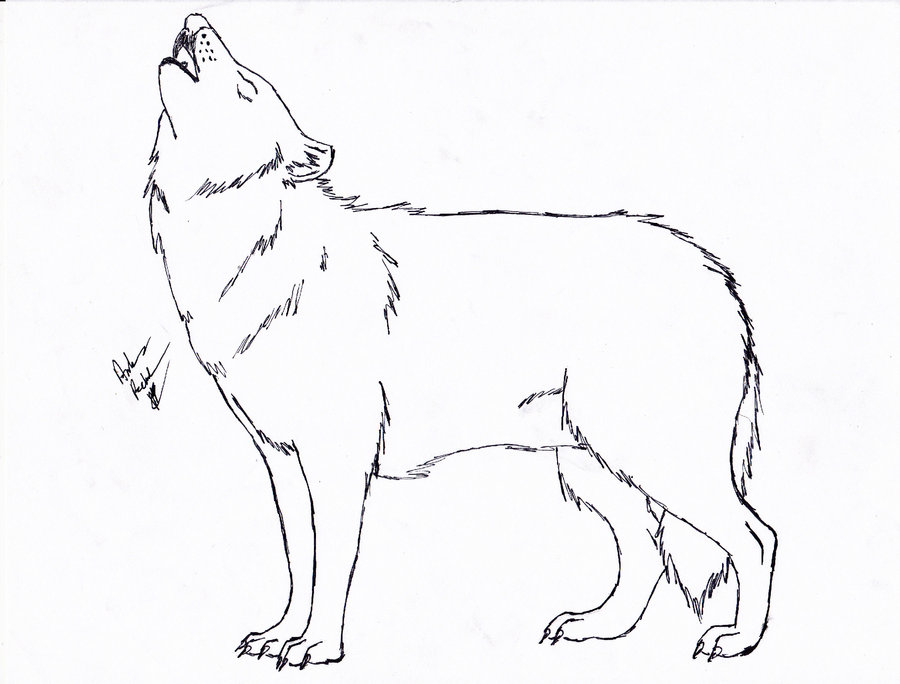 Black Wolf Howling Clipart   Cliparthut   Free Clipart