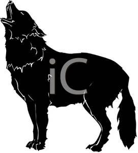 Black Wolf Howling   Royalty Free Clipart Picture