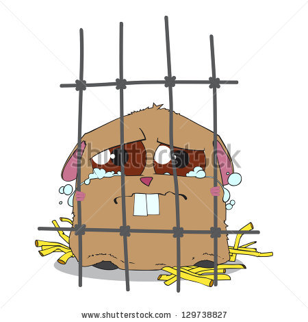 Clipart Hamster Cage Hamster Cage Clipart