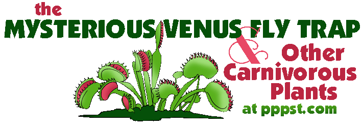 Format For The Venus Flytrap   Other Carnivorous Plants Pk 12