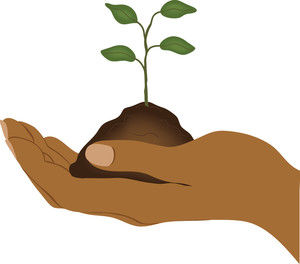 Gardening Clipart Image   Clip Art Image Of An Ethnic Hand Holding A