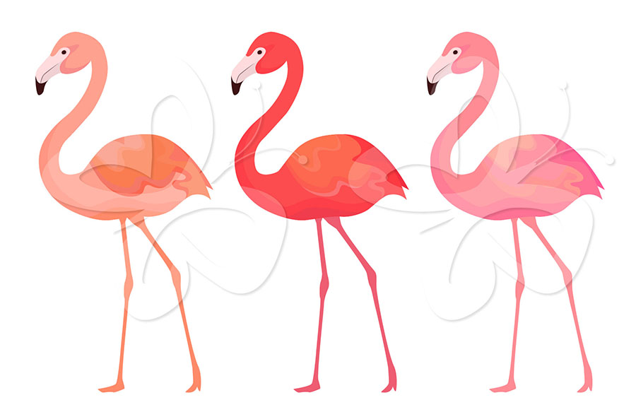 Home   All Clip Art   Flamingo Clipart Set