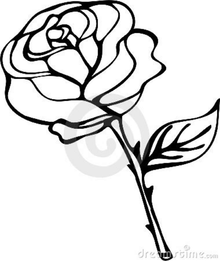 Rose Black And White Outline   Clipart Panda   Free Clipart Images