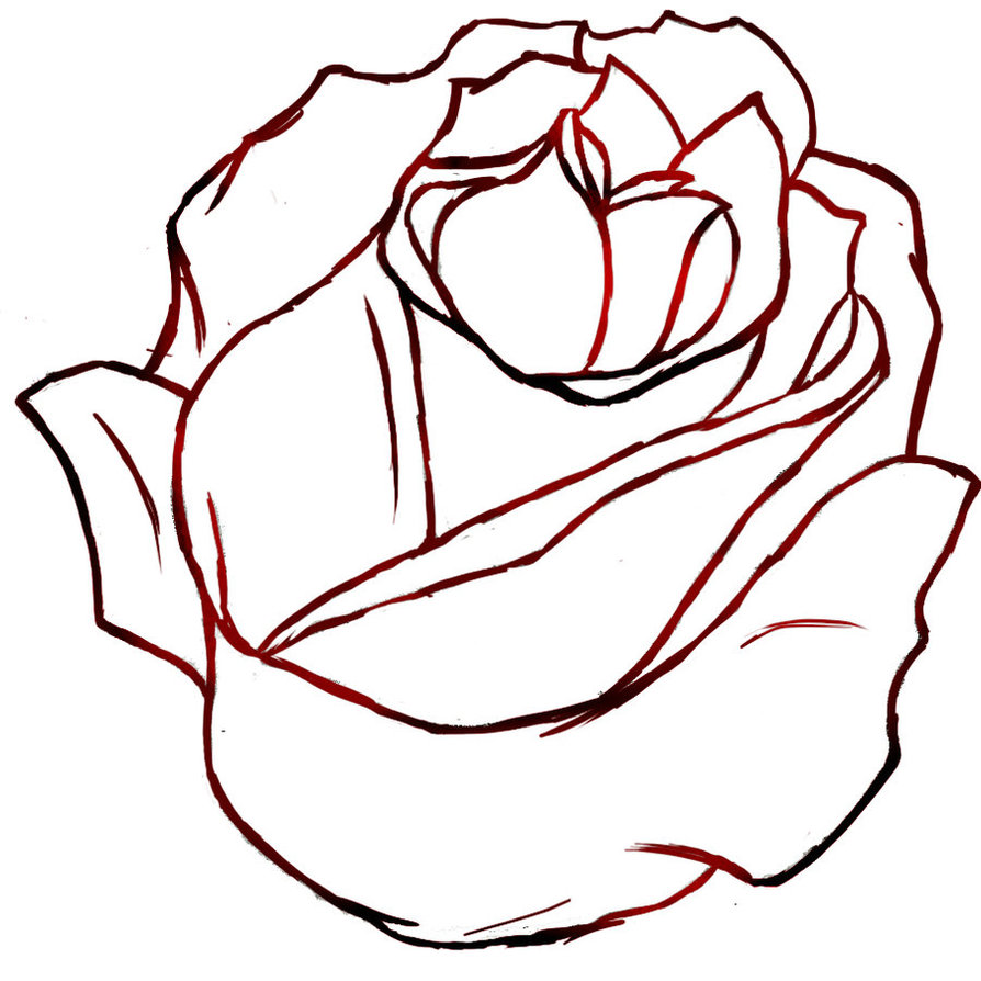 Rose Drawing Outline   Clipart