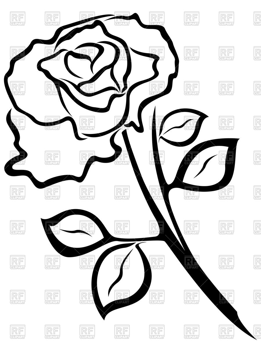 Rose   Outline 75998 Objects Download Royalty Free Vector Clipart    