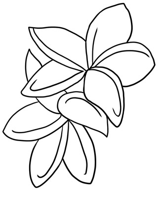 Rose Outline Clipart   Clipart Panda   Free Clipart Images