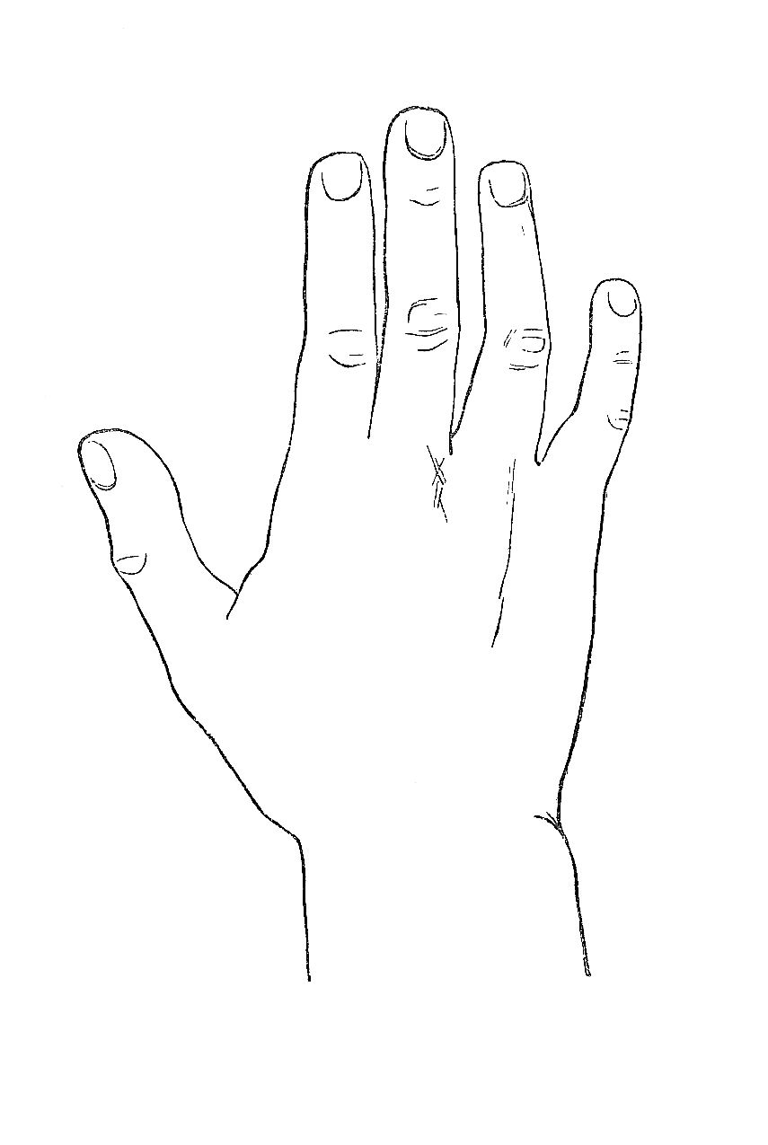 Antique Images  Hand Graphic  2 Graphic Illustrations Of Hands Shapes