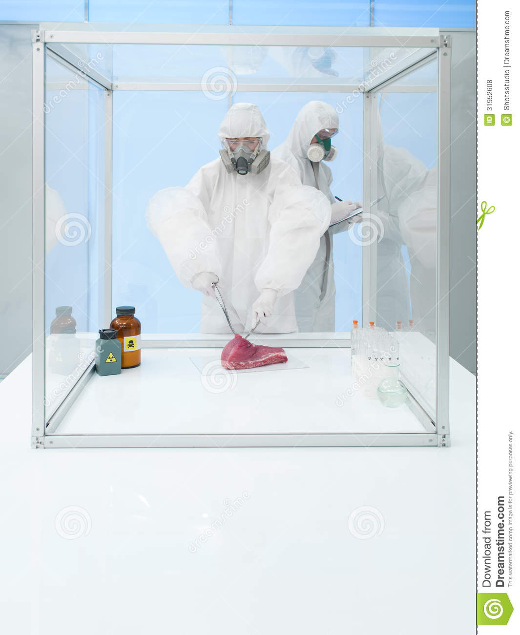 Experimenting On Raw Meat In Sterile Chamber Royalty Free Stock Photos    